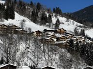 Chalet-appartement AlpenParks Rehrenberg Alpine-21