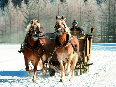 Skidorp Centraal gelegen wintersportdorp met wellness en goede après-ski-6