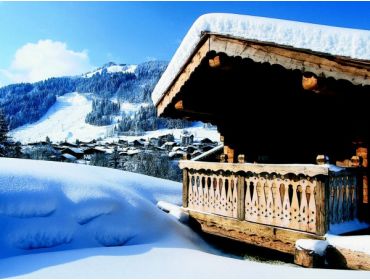 Skidorp Authentiek en levendig wintersportdorp bij Les Portes du Soleil-14