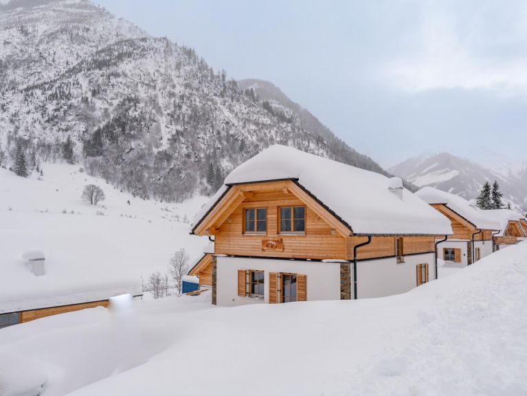 Chalet Riesneralm Pretzel