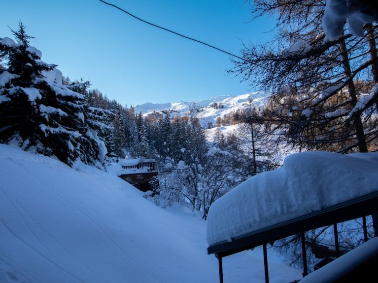 Chalet Anna inclusief catering en whirlpool
