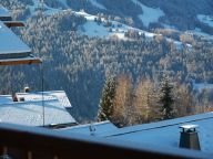 Chalet De Vallandry Type 2 Supérieur, Le Gland d'Or-28