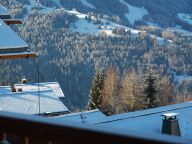 Chalet De Vallandry Type 2 Supérieur, Le Gland d'Or-32