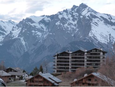 Skidorp Sfeervol wintersportdorp in het hart van Les Quatre Vallées-16