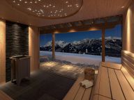 Appartement Skylodge Alpine Homes type penthouse II, zondag t/m zondag-21