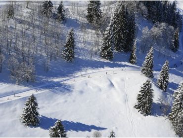 Skidorp: Les Carroz-1