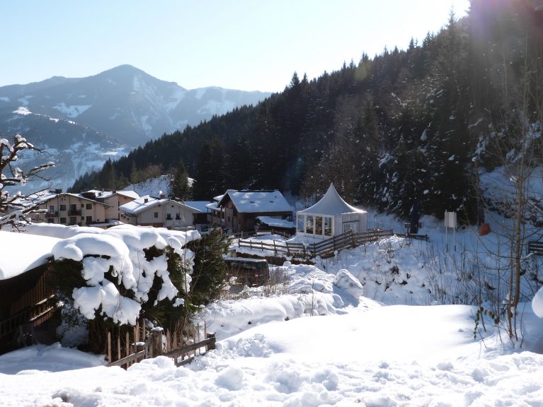 Appartement Wildbachhof