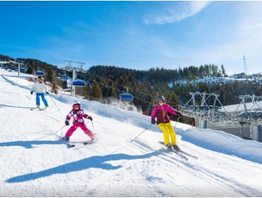 Skidorp Klein en gemoedelijk dorpje in de Skiwelt-3