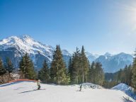 Chalet-appartement Les Alpages de Champagny Appartement A31-25
