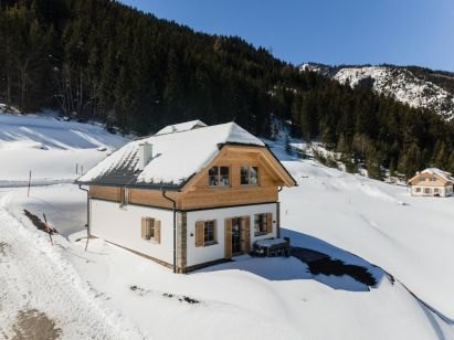 Chalet Riesneralm Im grünen Herzen-1
