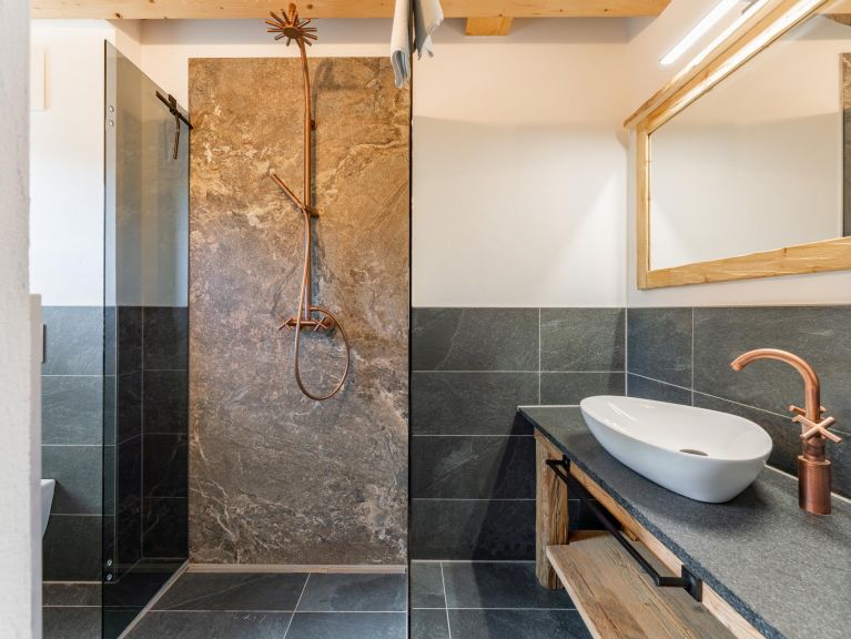 Appartement AlmApART 8-3 / Penthouse