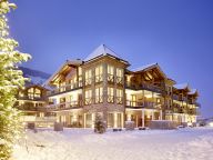 Chalet-appartement Wildkogelresorts Penthouse Type V-25