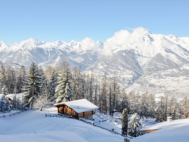 Chalet Les Pivoines