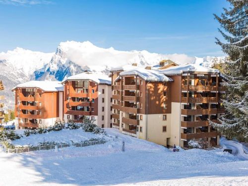 Appartement Résidence Le Buet met cabine - 4-6 personen in Morillon 1100 Les Esserts - Le Grand Massif, Frankrijk foto 8034618