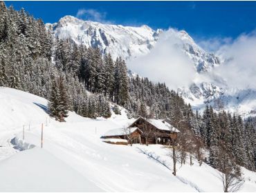 Skidorp Familievriendelijk skidorpje met Oostenrijkse gezelligheid-4