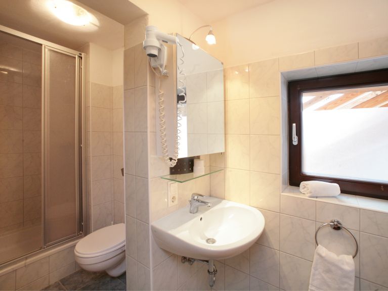 Appartement Wildbachhof