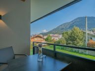 Chalet-appartement Andrea Gampenkogel-3