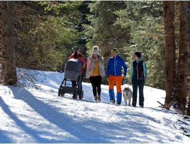 Skidorp Traditioneel wintersportdorp met veel mogelijkheden-2