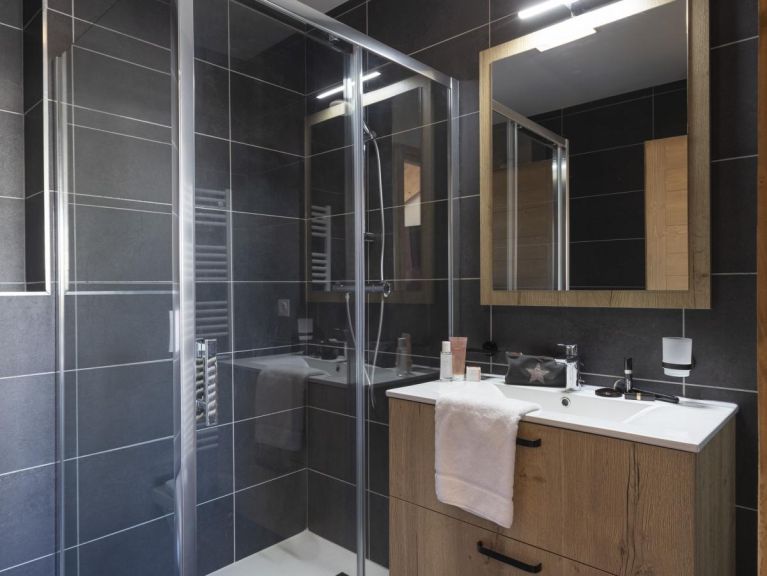 Appartement Neige et Soleil