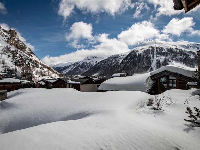 Chalet Denali