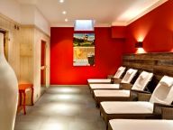 Chalet-appartement Wildkogelresorts Penthouse Type V-16