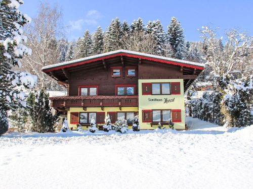 Chalet Hussl - 14 personen afbeelding