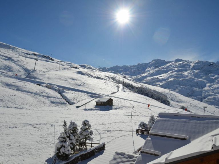 Chalet-appartement Les Alpages de Reberty