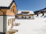 Chalet Riesneralm Lilyan-19