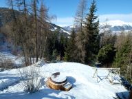 Chalet De Vallandry Nowen met sauna en buiten whirlpool-3