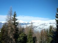 Chalet De Vallandry Nowen met sauna en buiten whirlpool-29