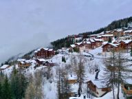 Chalet De Vallandry Nowen met sauna en buiten whirlpool-28