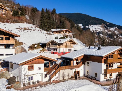 Appartement Alpensteinbock Combinatie van 3 appartementen 23 27 personen Salzburgerland