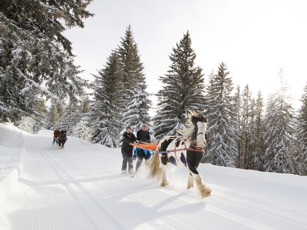 ski-joering