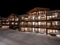 Chalet-appartement Das Neukirchen Penthouse Type 2a-69