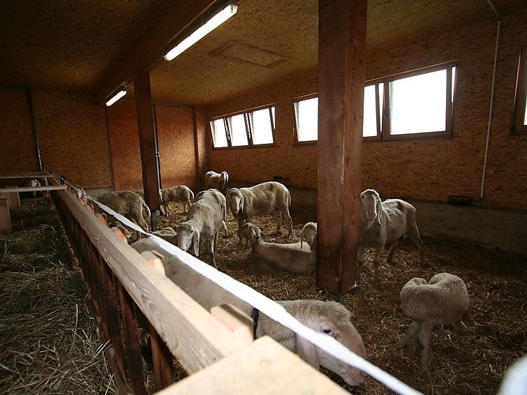 Chalet-appartement s´ HimmelReich