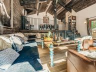 Chalet Les Sources de La Davie-4