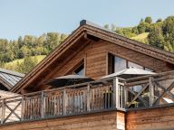 Chalet-appartement Das Neukirchen Studio-8