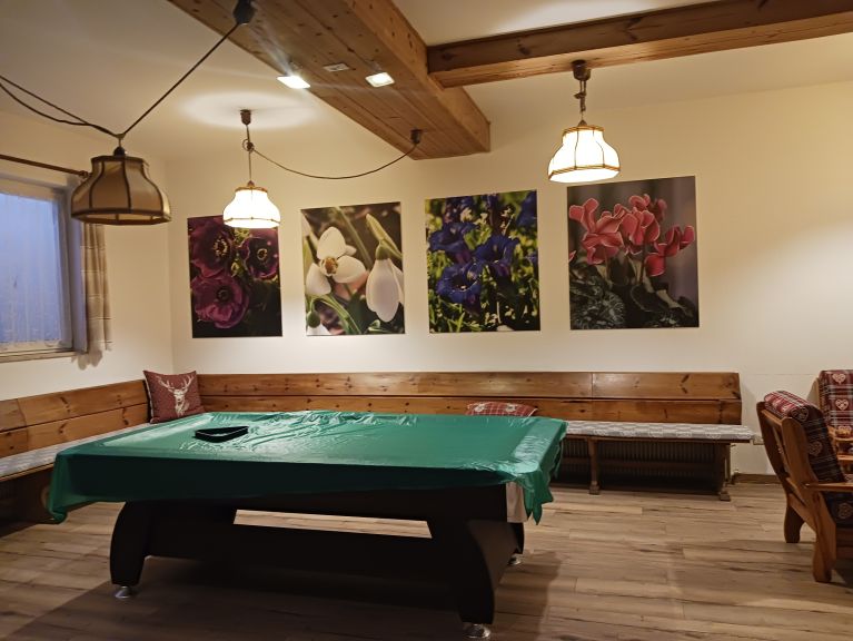 Chalet-appartement Casa Canazei
