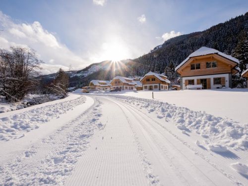 chalet-riesneralm-auerhahn-10-personen