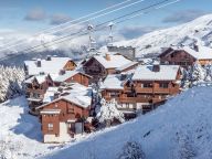 Chalet-appartement Montagnettes Hameau de la Sapinière-23