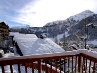 Chalet Zanskar met buiten-whirlpool-34