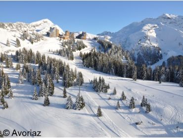 Skidorp Meest sneeuwzekere wintersportdorp van Les Portes du Soleil-5