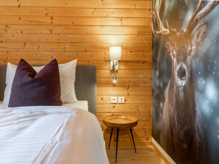 Chalet Spykerhütte