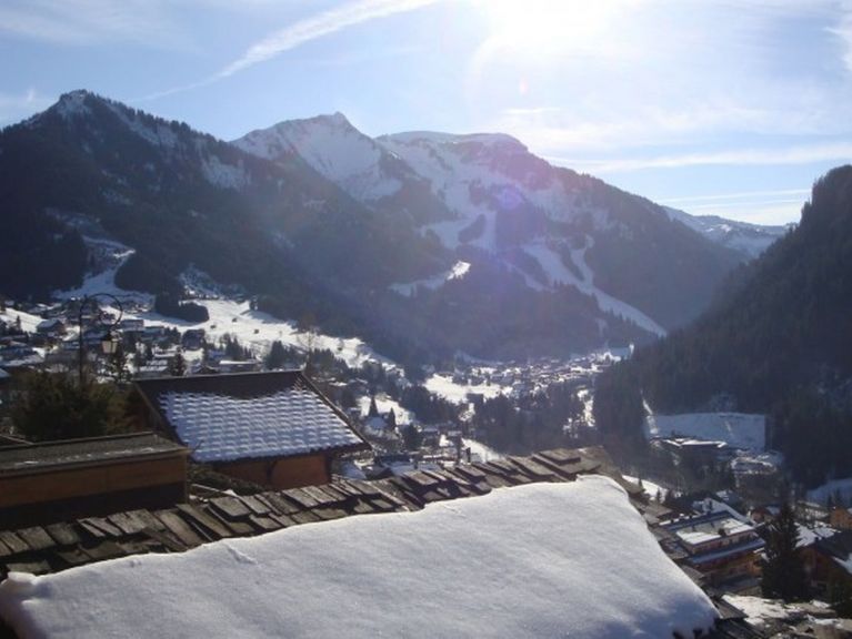 Chalet-appartement La Puce