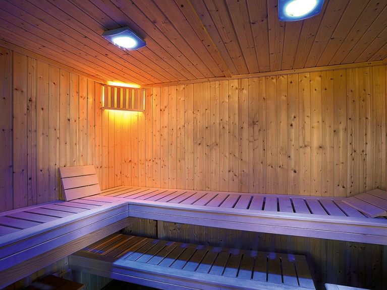 Chalet Dankl