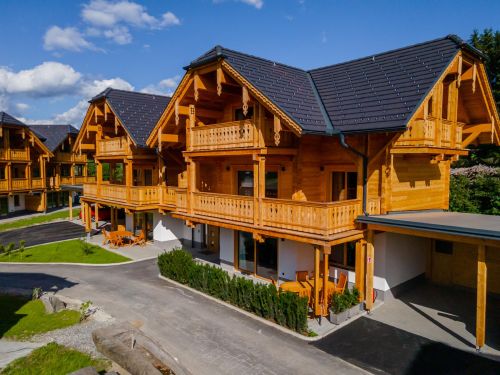 Appartement AlmApART 8-3 / Penthouse in Oostenrijk