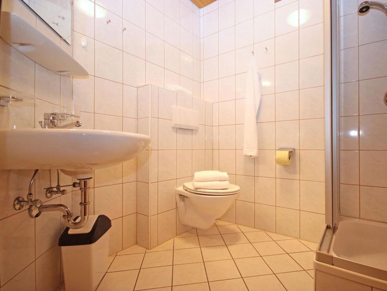 Chalet-appartement Voithofer Top 5