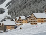 Chalet-appartement Le Grand Lodge met cabine-18