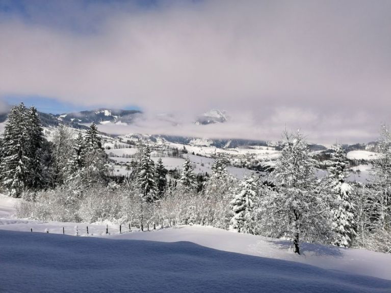 Chalet Winterreitgut