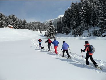 Skidorp Centraal gelegen wintersportdorp met veel faciliteiten-4